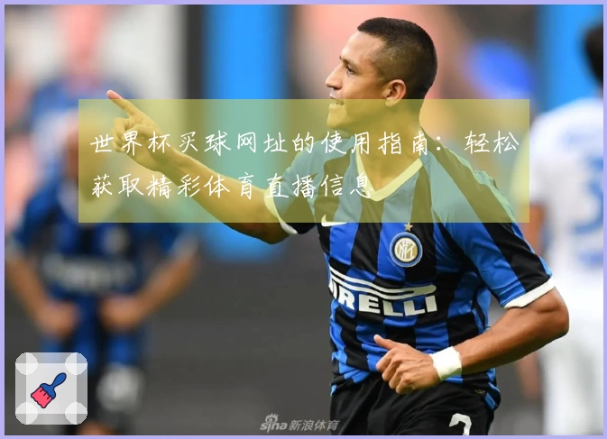 世界杯买球网址的使用指南：轻松获取精彩体育直播信息
