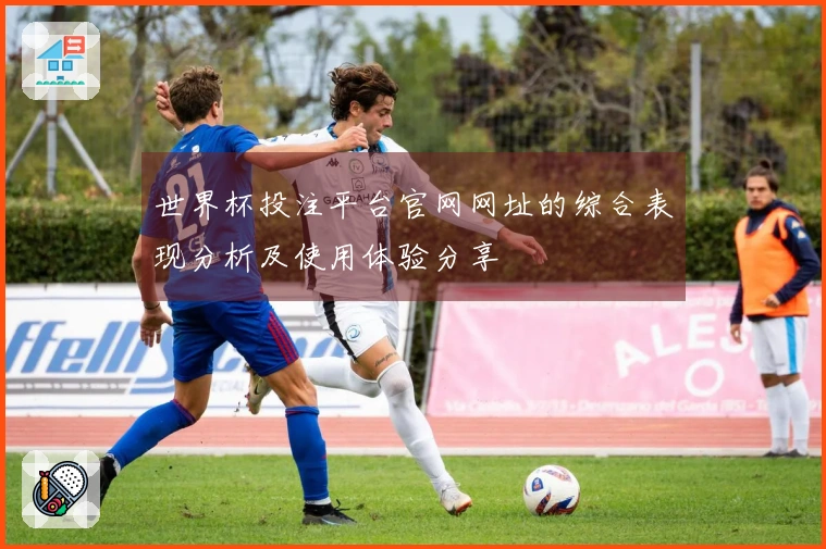 世界杯投注平台官网网址的综合表现分析及使用体验分享