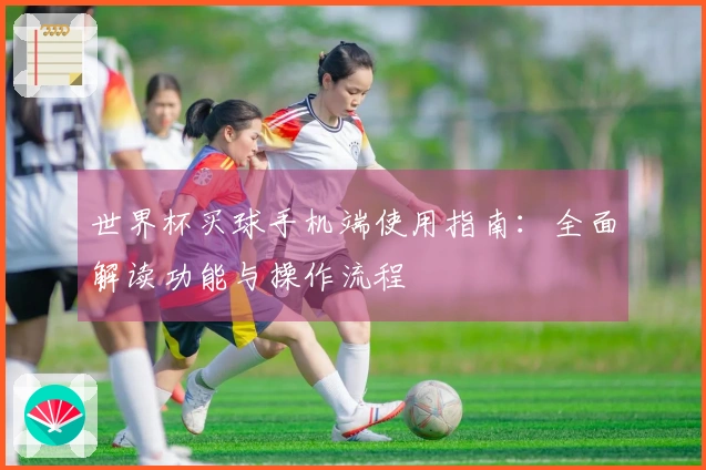 世界杯买球手机端使用指南：全面解读功能与操作流程