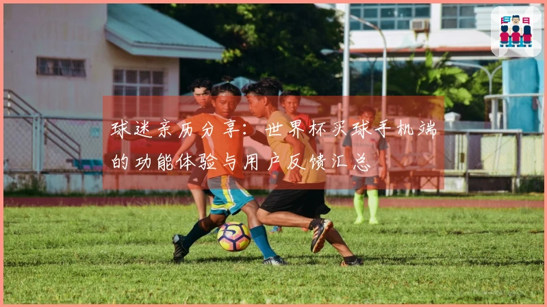 球迷亲历分享：世界杯买球手机端的功能体验与用户反馈汇总