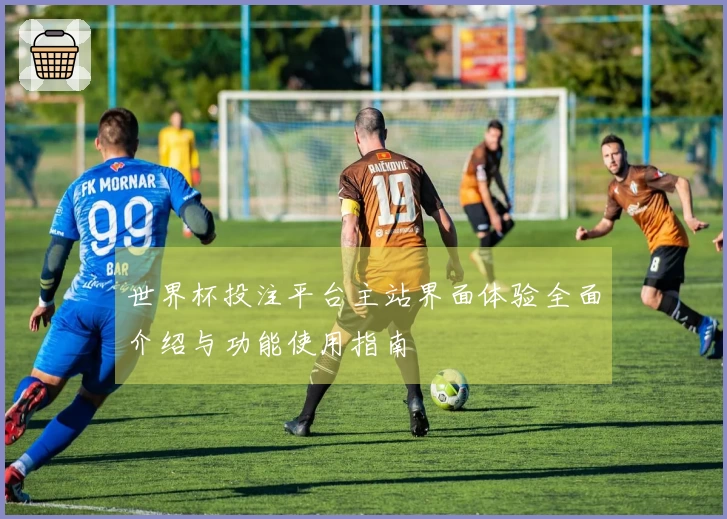 世界杯投注平台主站界面体验全面介绍与功能使用指南