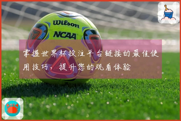 掌握世界杯投注平台链接的最佳使用技巧，提升您的观看体验