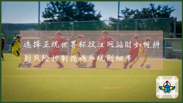 选择正规世界杯投注网站时如何辨别风险控制措施和规则细节