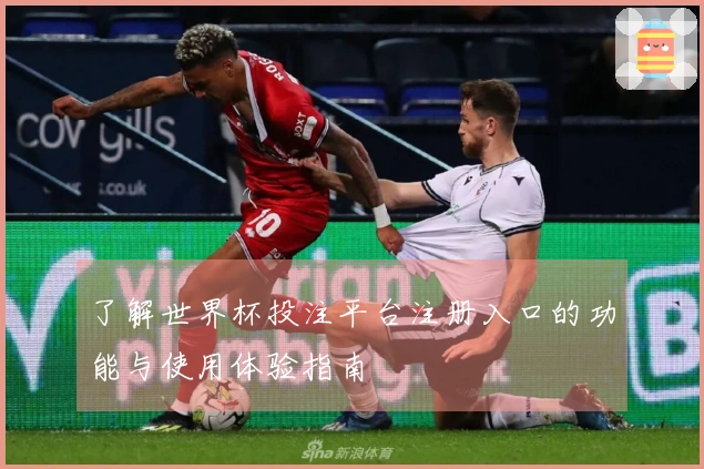 了解世界杯投注平台注册入口的功能与使用体验指南