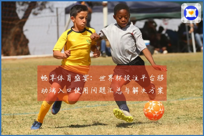 畅享体育盛宴：世界杯投注平台移动端入口使用问题汇总与解决方案