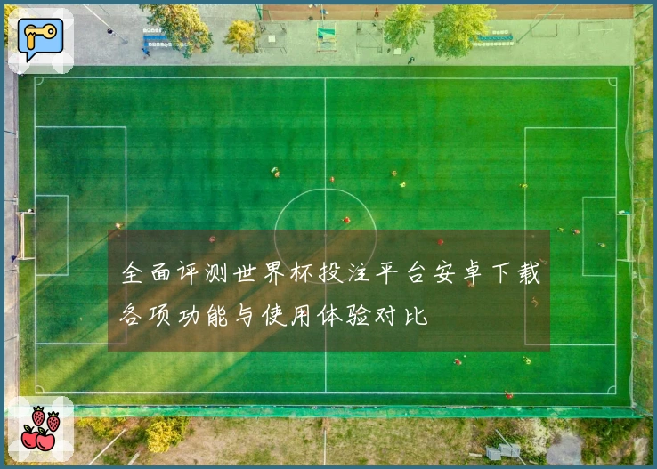 全面评测世界杯投注平台安卓下载各项功能与使用体验对比