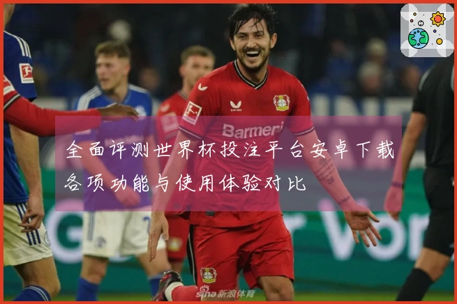 全面评测世界杯投注平台安卓下载各项功能与使用体验对比