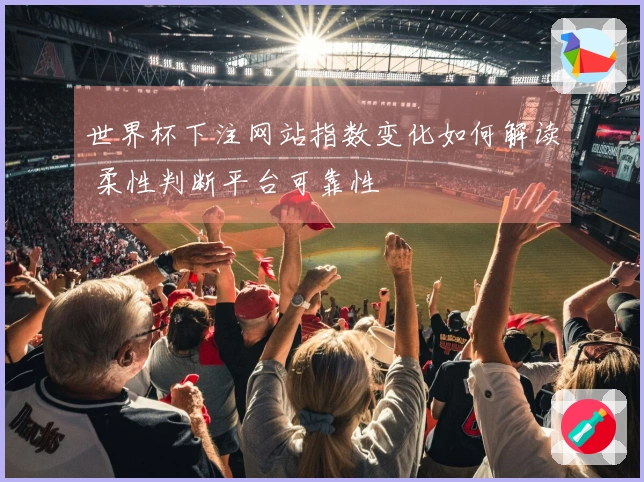 世界杯下注网站指数变化如何解读 柔性判断平台可靠性