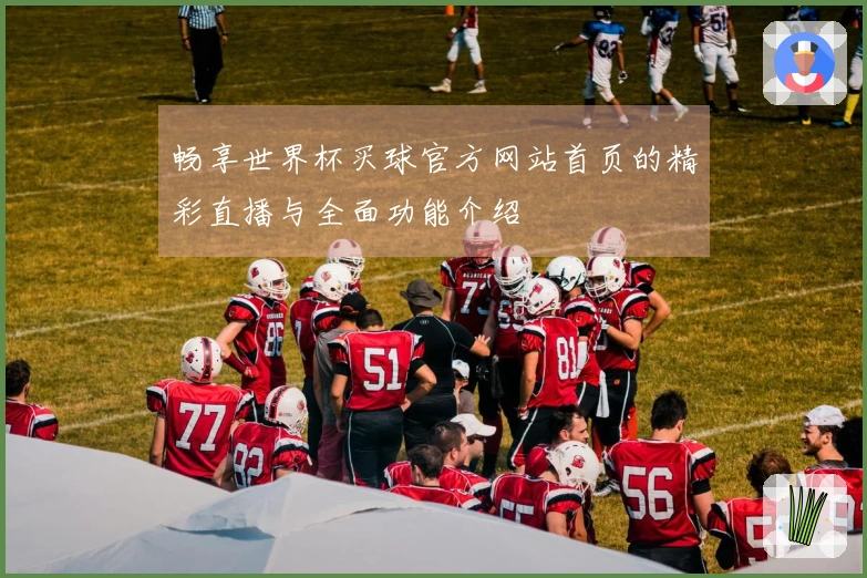 畅享世界杯买球官方网站首页的精彩直播与全面功能介绍