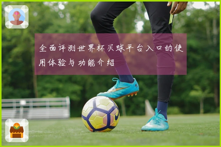 全面评测世界杯买球平台入口的使用体验与功能介绍