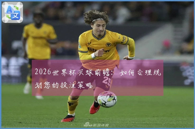 2026世界杯买球前瞻：如何合理规划您的投注策略