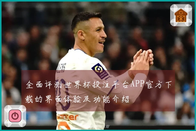 全面评测世界杯投注平台APP官方下载的界面体验及功能介绍