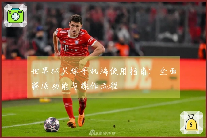 世界杯买球手机端使用指南：全面解读功能与操作流程