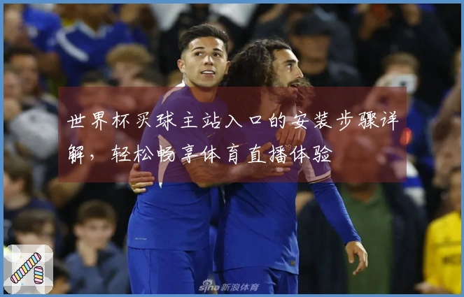 世界杯买球主站入口的安装步骤详解，轻松畅享体育直播体验